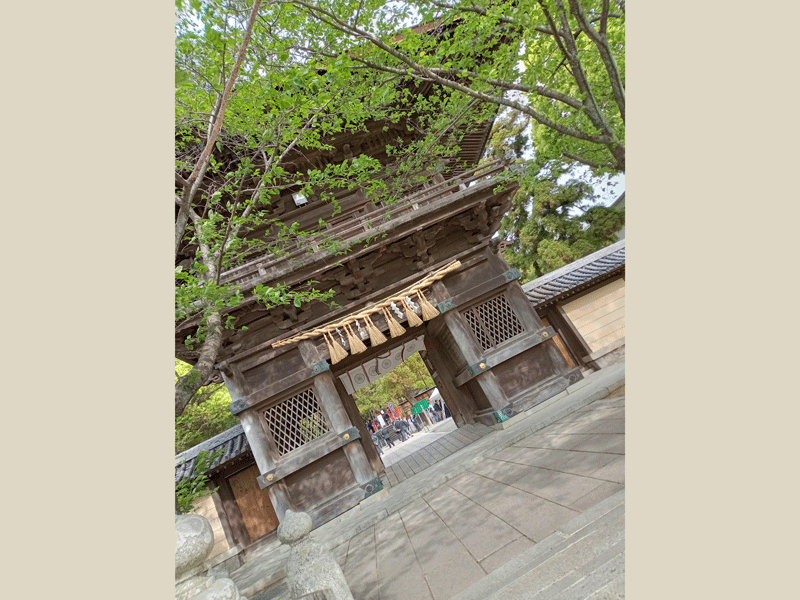香椎宮