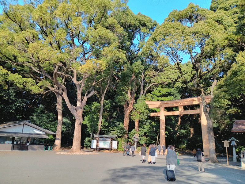 明治神宮